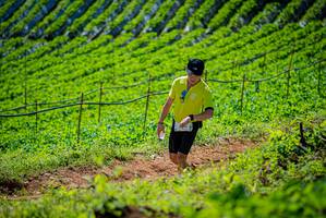 BIB: 
                            <button type="button" onclick="openModal(19163044)" class="btn btn-primary btn-sm float-right btn-popup" data-toggle="modal" data-target=".modal-high-quality">
                        <i class="fas fa-shopping-cart"></i> Add to Cart
                    </button>
                                            <button type="button" onclick="isThisMe(19163044, true)" class="btn btn-success btn-sm float-right btn-popup btn-isme hidden" data-toggle="tooltip" data-placement="bottom" title="นี่คือรูปของคุณใช่ไหม คลิกที่นี่เพื่อเอาเข้าอัลบั้ม">
                        <i class="fas fa-plus"></i> Add to album
                    </button>
                    <button type="button" onclick="isThisMe(19163044, false)" class="btn btn-warning btn-sm float-right btn-popup btn-isnotme hidden">
                        <i class="fas fa-ban"></i> Remove from album
                    </button>